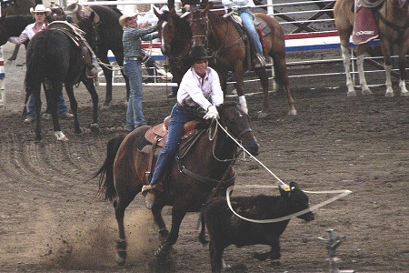 Cody rodeo_2