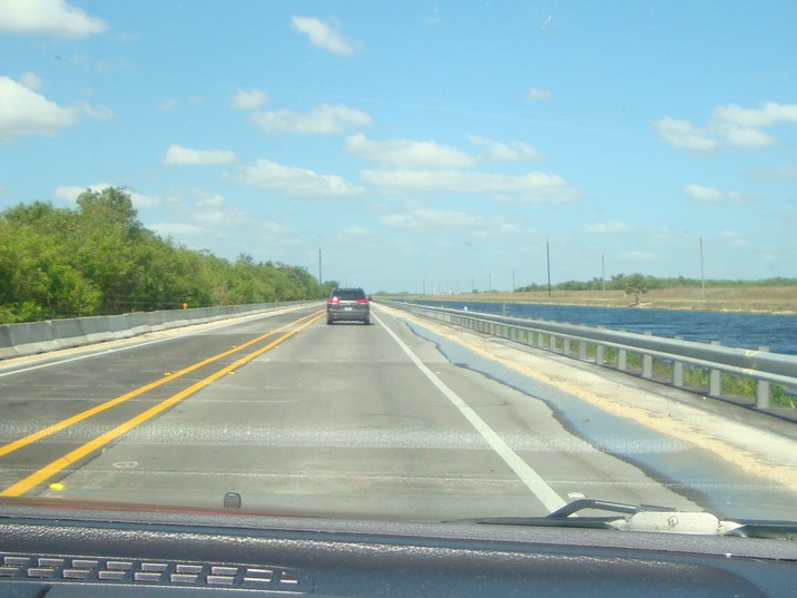 Gator Alley