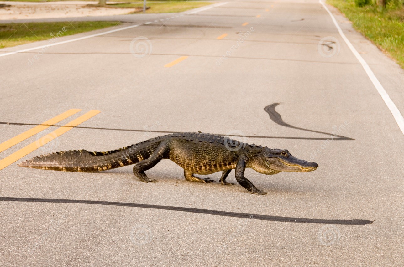 Gator på vejen 2