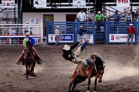 Cody rodeo_1