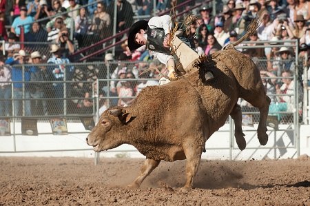 Cody rodeo_3