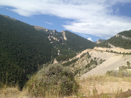 IMG 0711_-_Big_Horn_NP