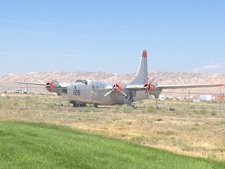 IMG 0716_-_Gl._fly