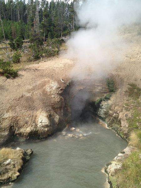 IMG 0723__Yellowsrone_2