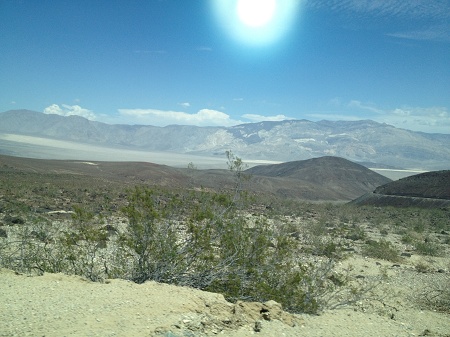 IMG 0839_Dessert_V_-_sol_og_grnr