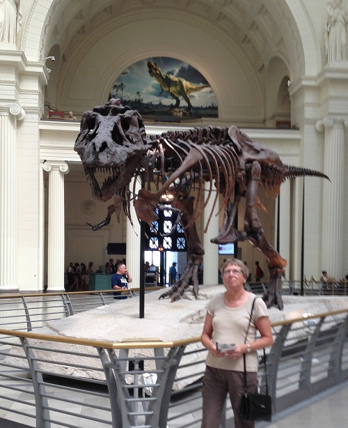 IMG 1521_Chicaco_Sue