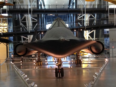 IMG 2338__Blackbird