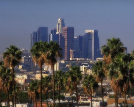 los angeles_skyline-0081