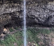 IMG 0009