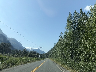 IMG 0029