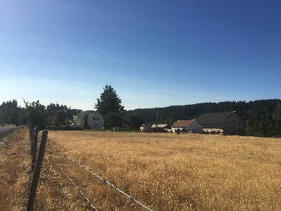 IMG 0996