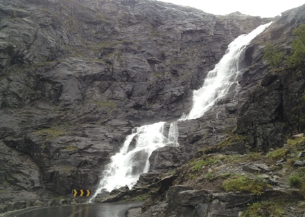 IMG 0308