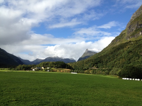 IMG 0874