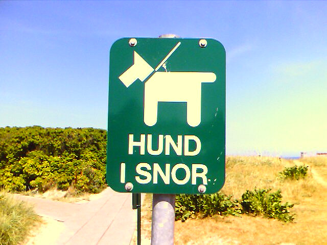 130129 hund_i_snor