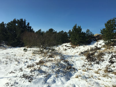 Påske IMG 7905